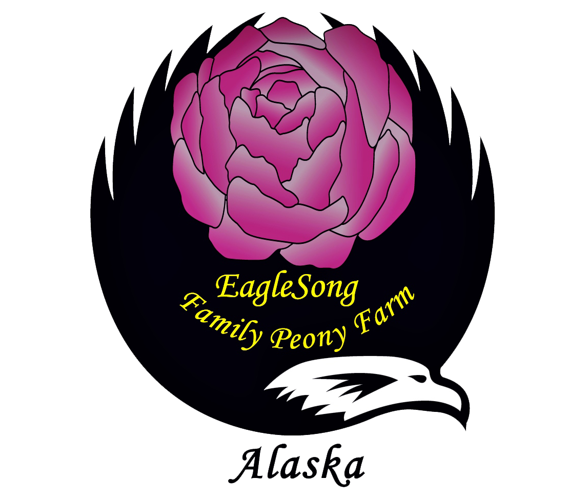 Farm logo featuring a stylized evergreen tree, representing sustainability and agriculture. The design emphasizes a clean, modern look with bold typography.
